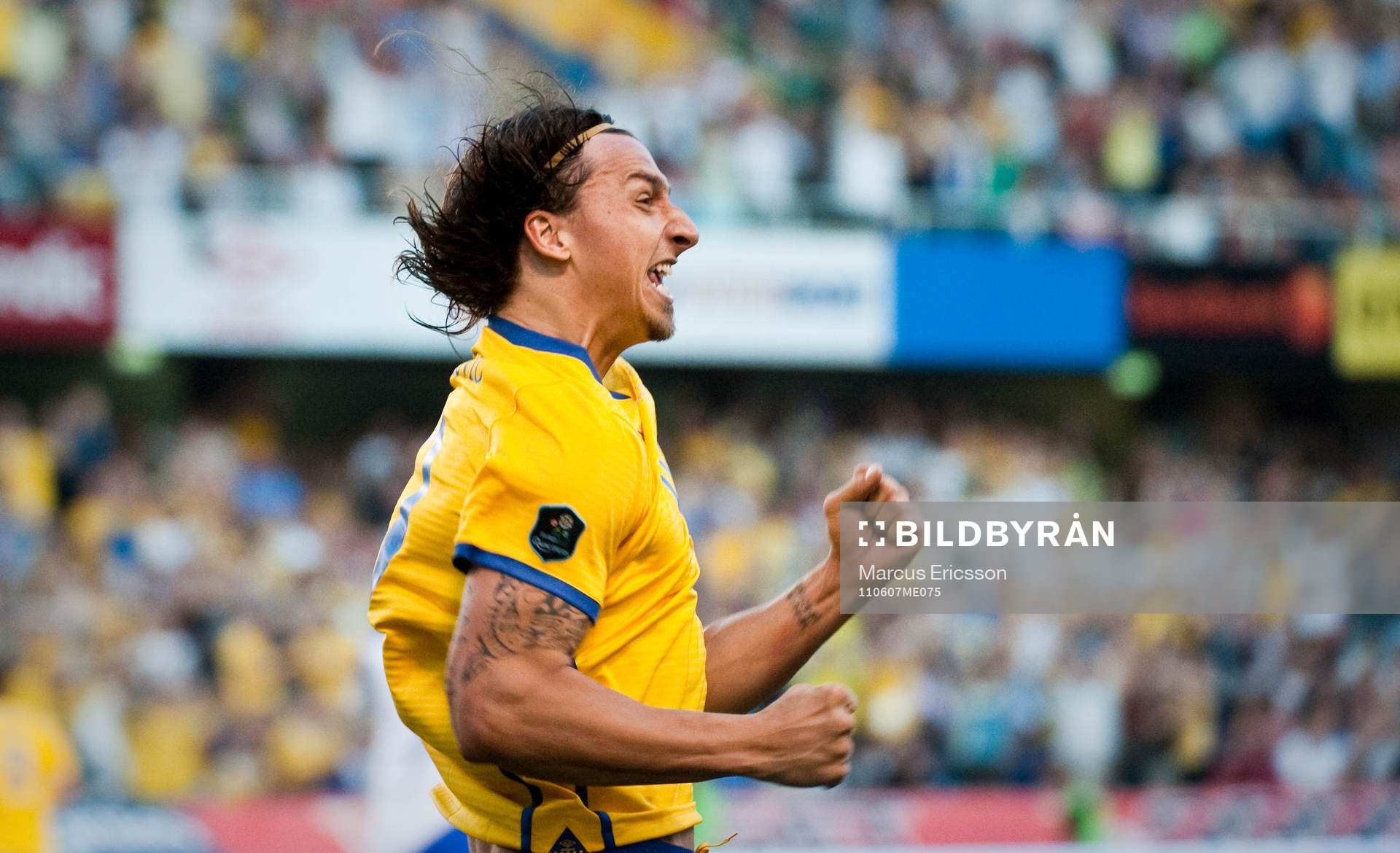 Zlatan Ibrahimovic, Sverige jubel