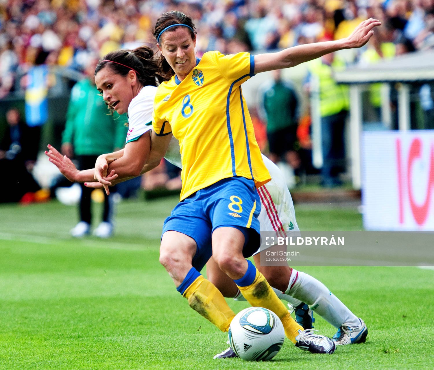 Lotta Schelin, Sverige