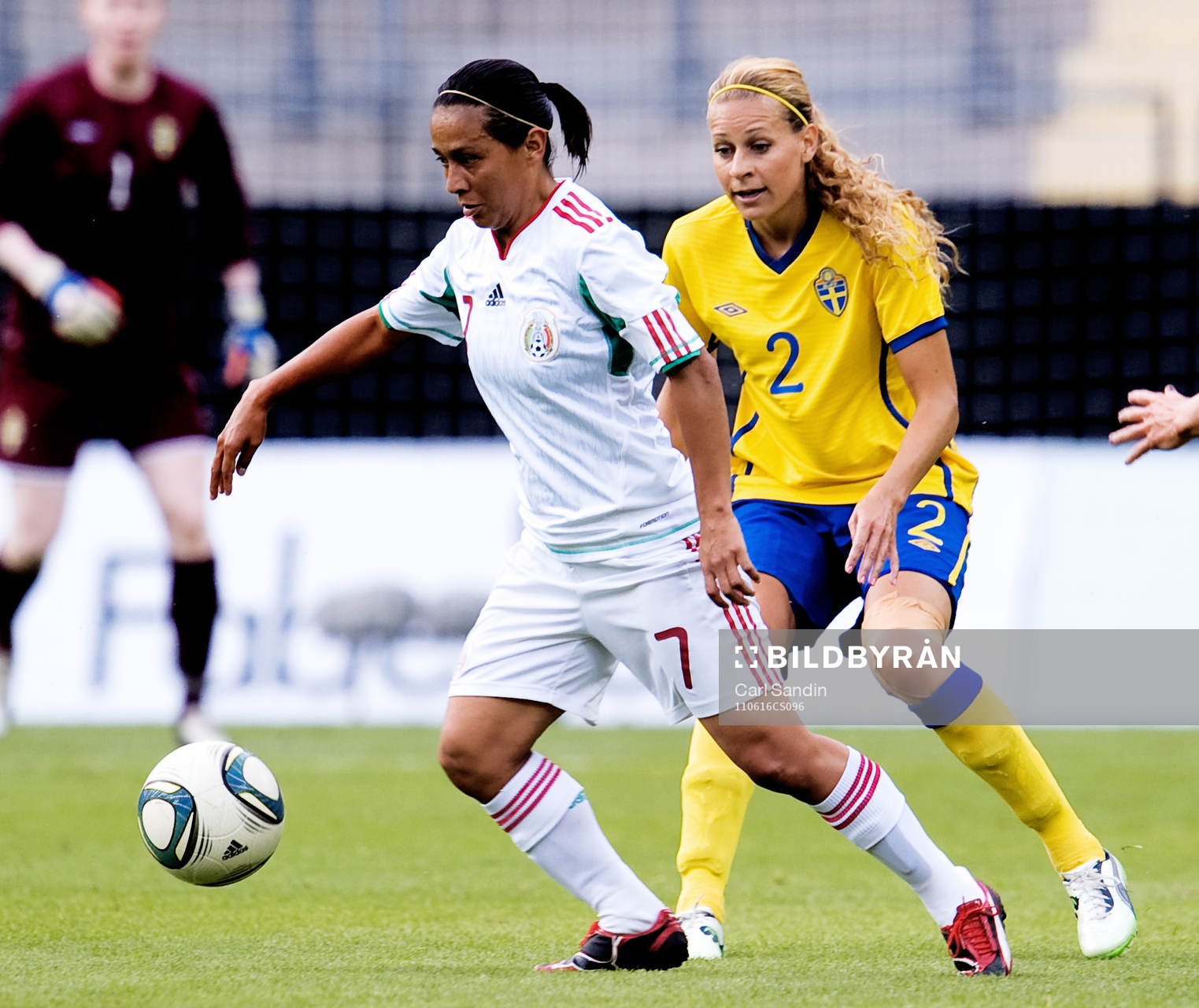 Charlotte Rohlin, Sverige