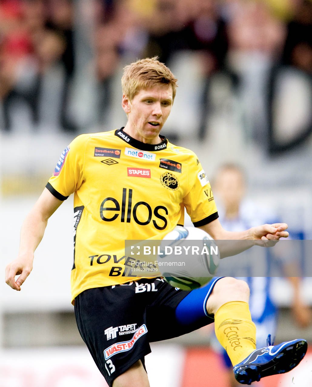 David Elm