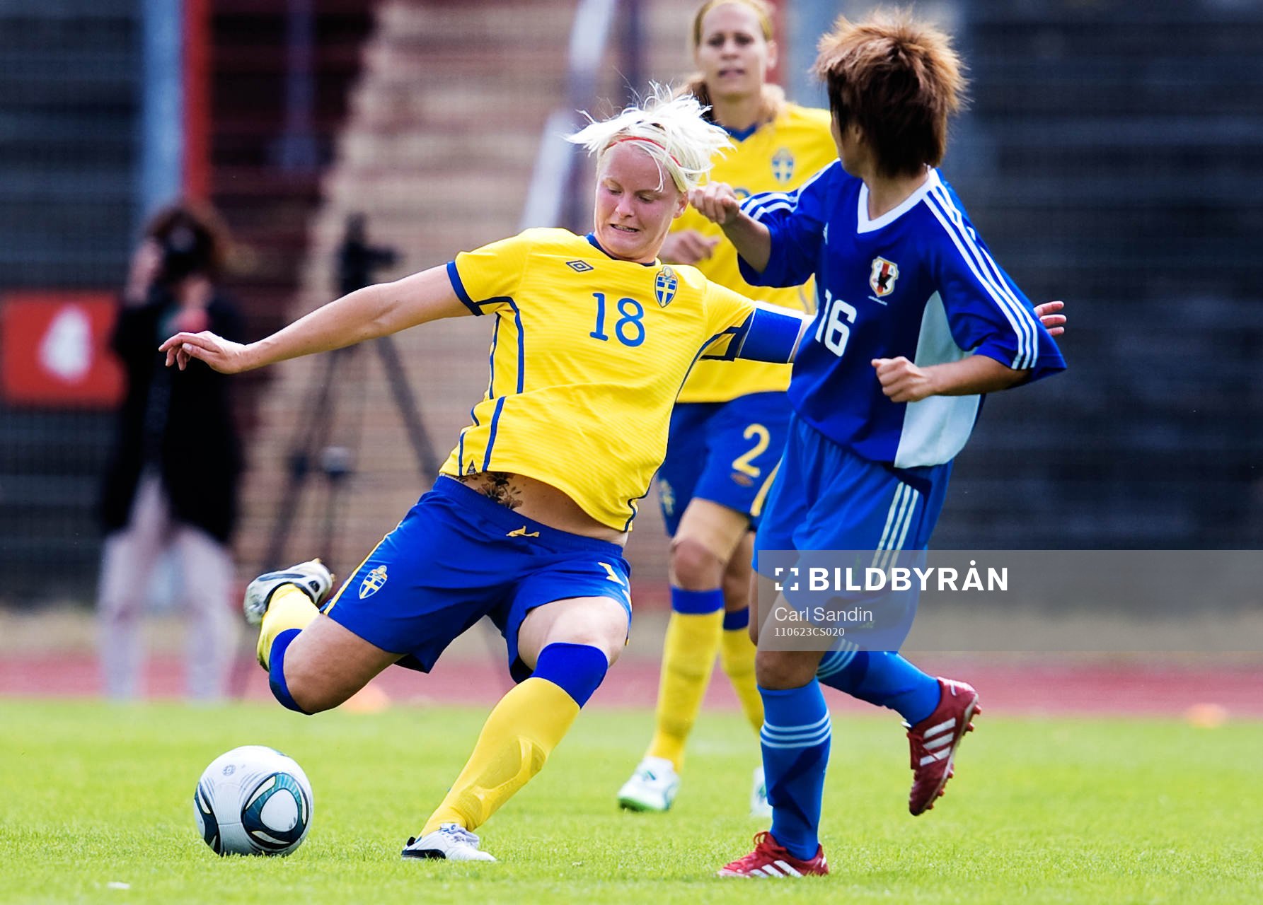 Nilla Fischer, Sverige