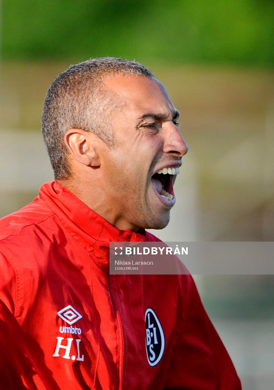 Henrik Larsson, tränare