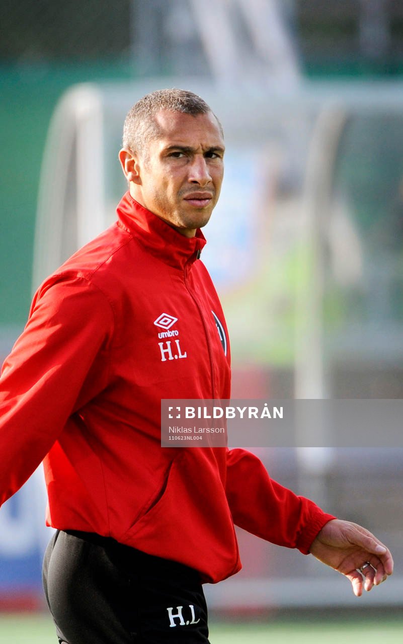 Henrik Larsson, tränare