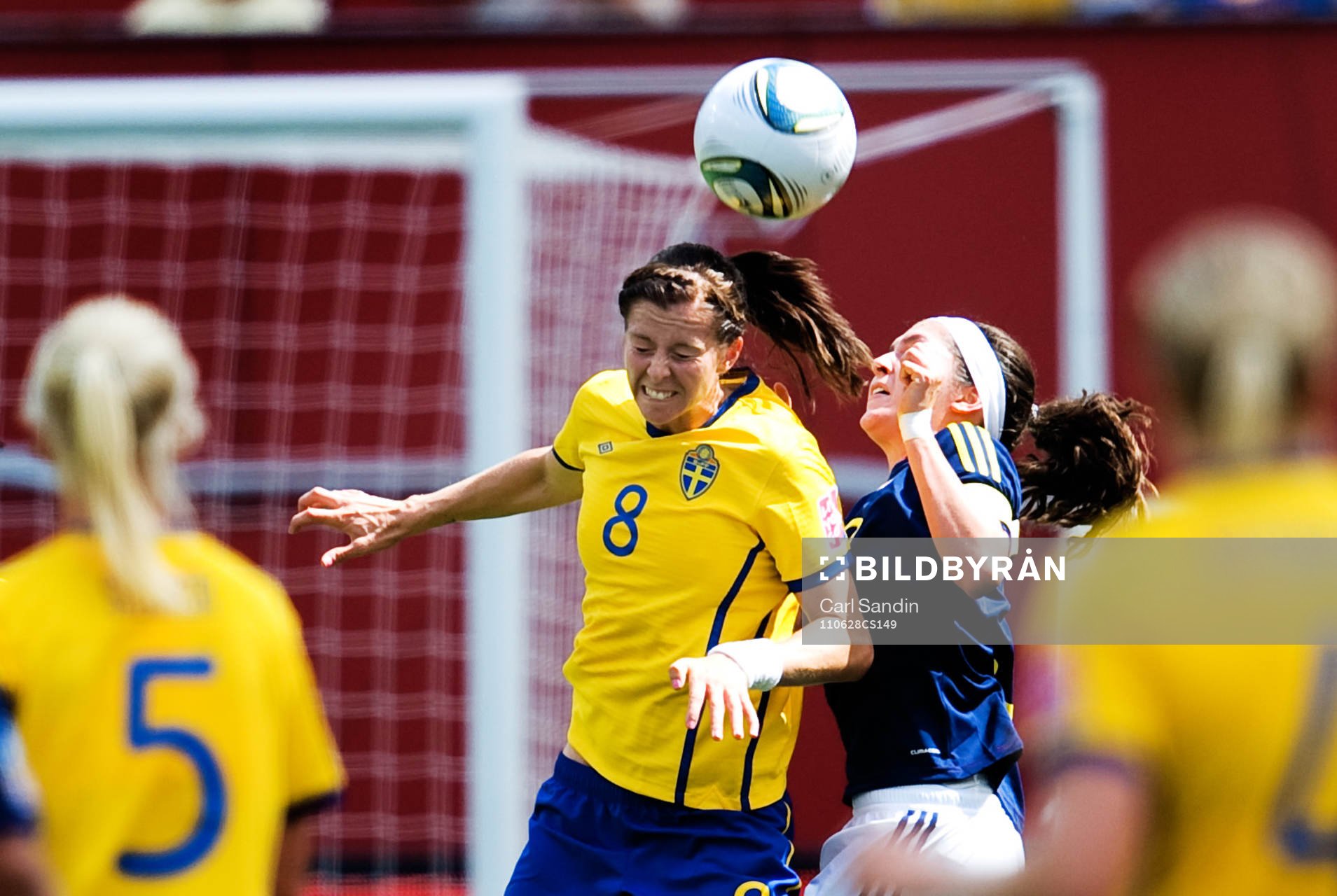 Lotta Schelin, Sverige