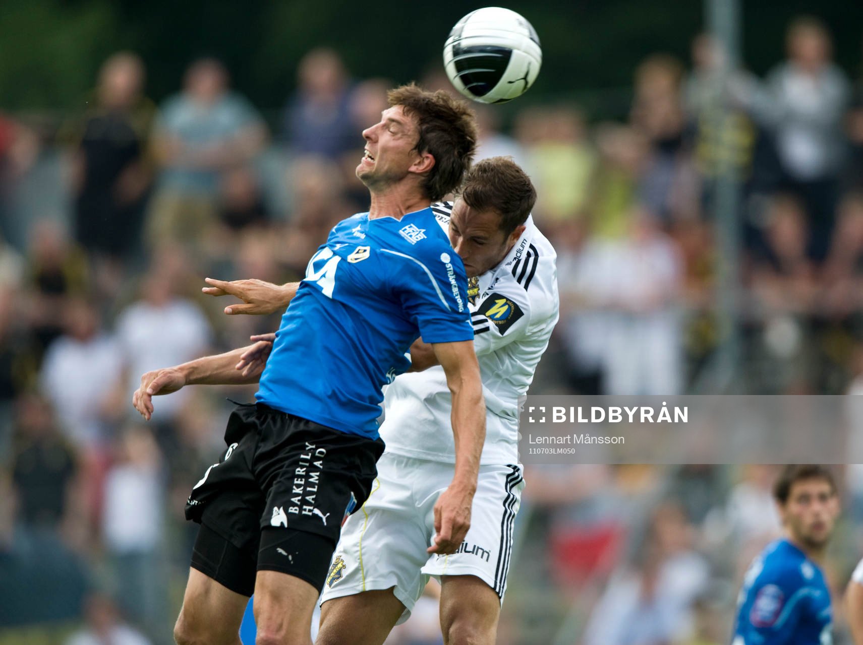 Mikael Rosén, Halmstad