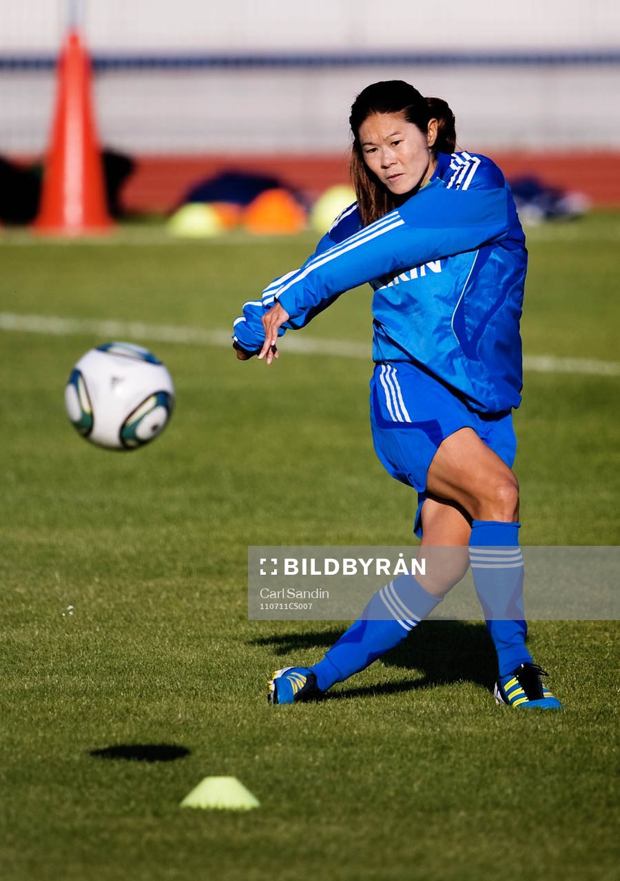 Homare Sawa, Japan