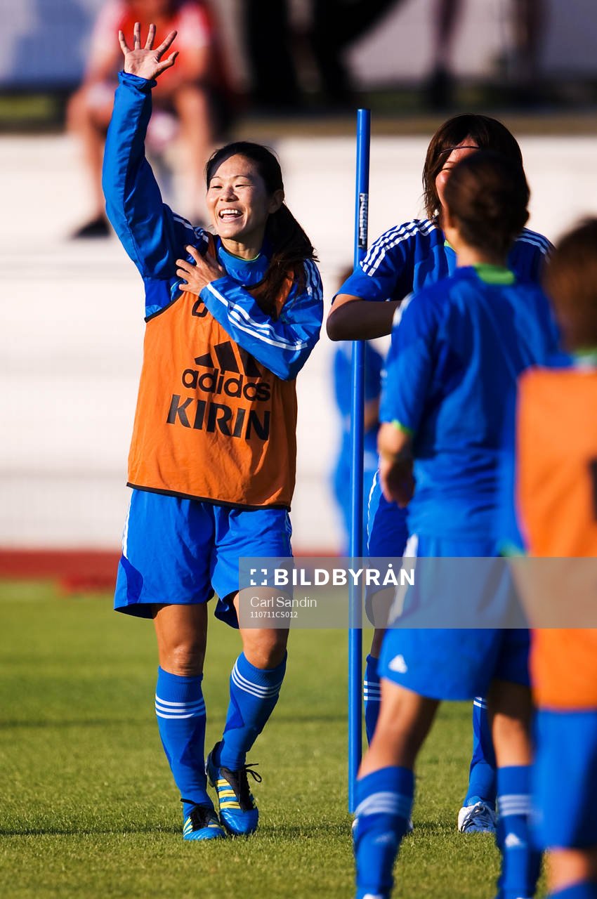 Homare Sawa, Japan