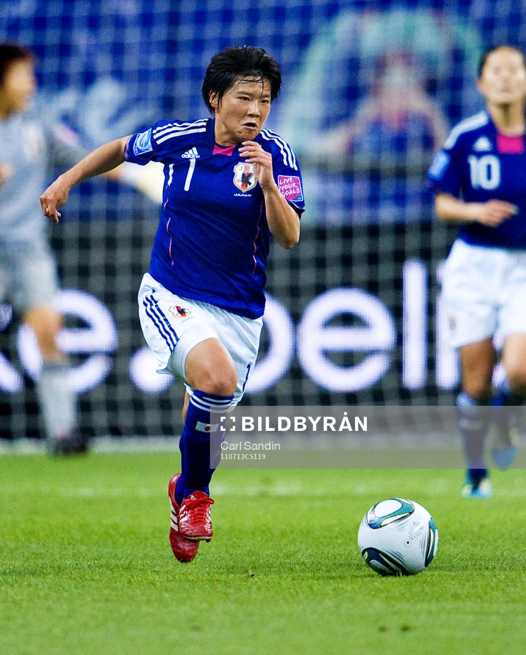 Shinobu Ohno, Japan
