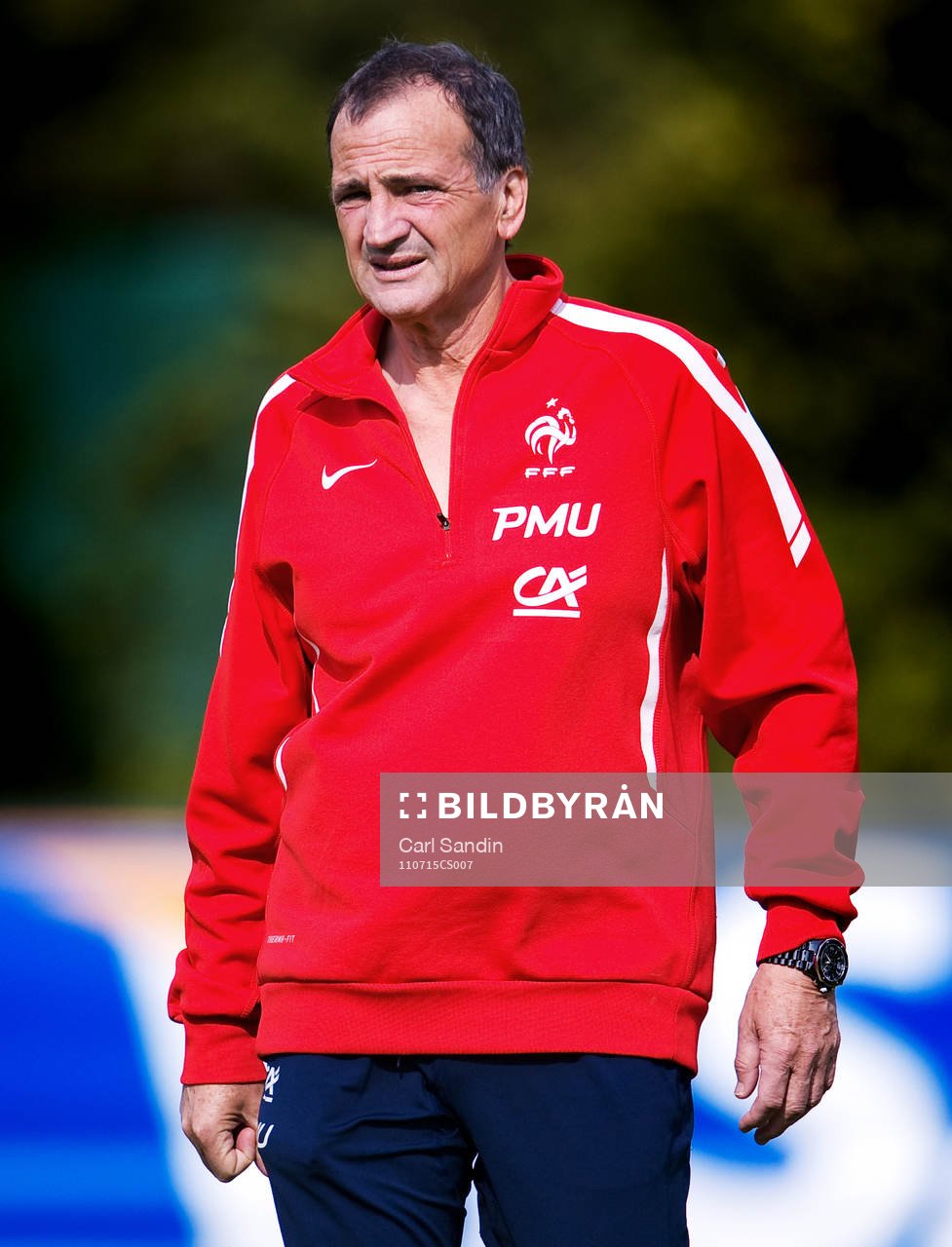 Bruno Bini, förbundskapten, Frankrike