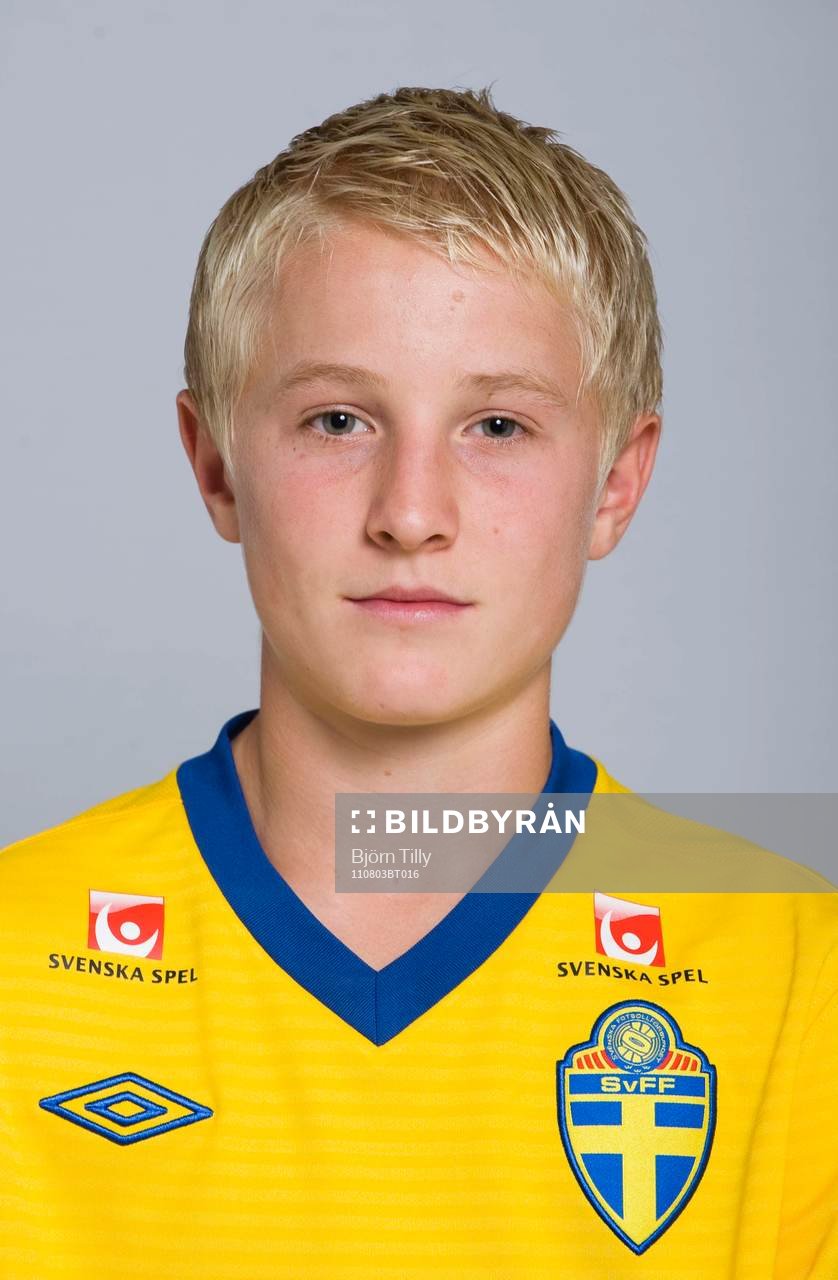Franz Brorsson, Sverige