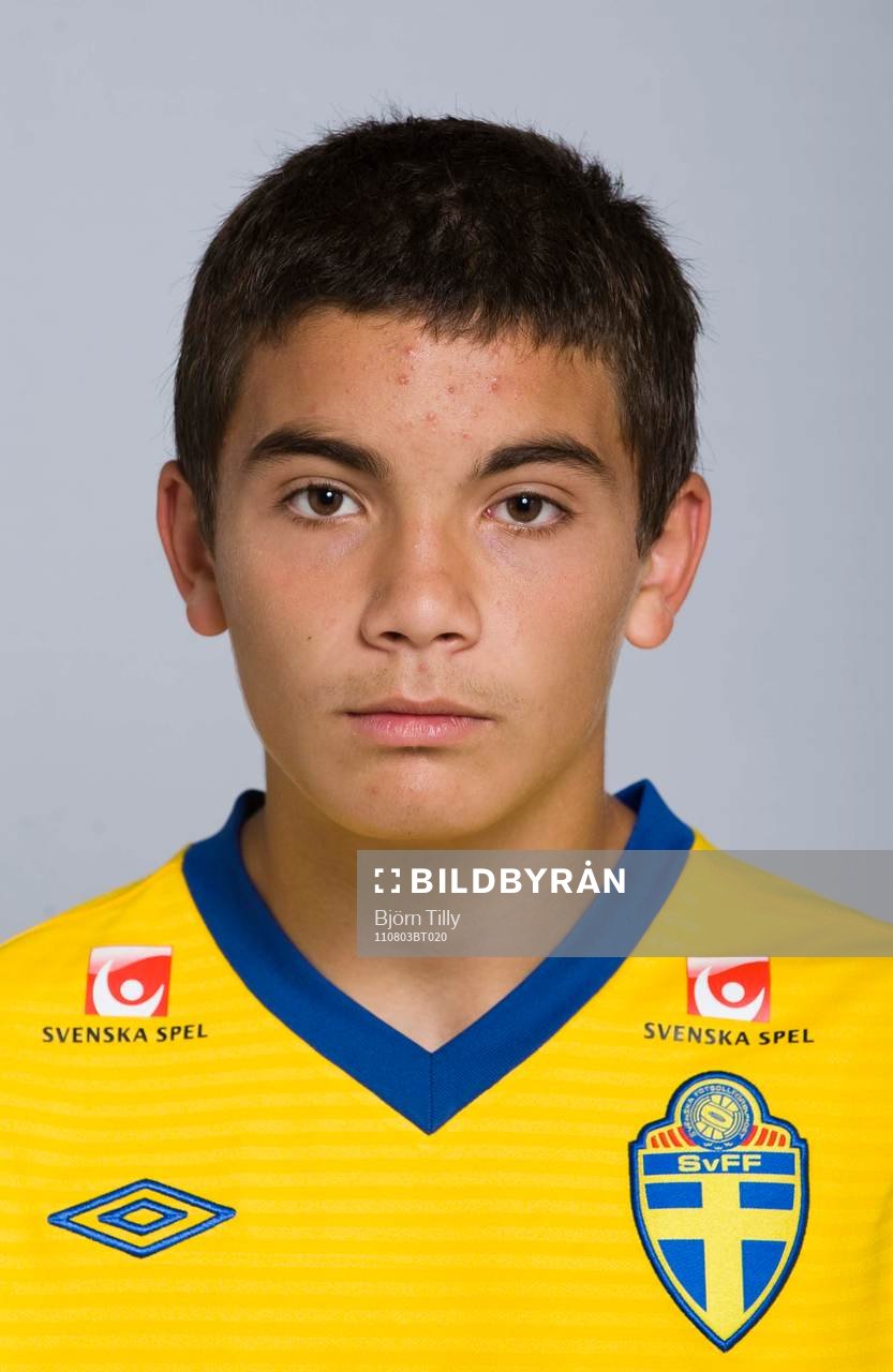 Martin Johansson Zanjanchi, Sverige