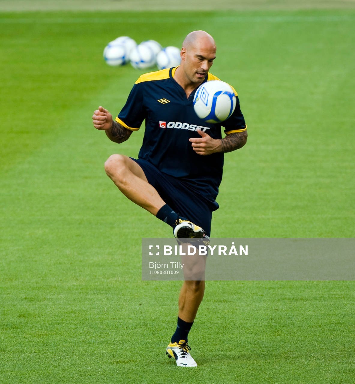 Daniel Majstorovic, Sverige