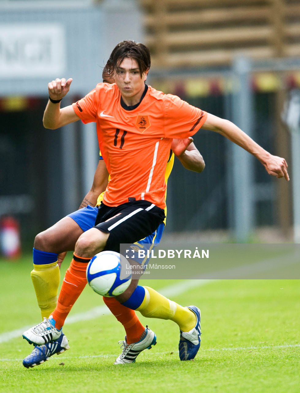 Steven Berghuis, Holland