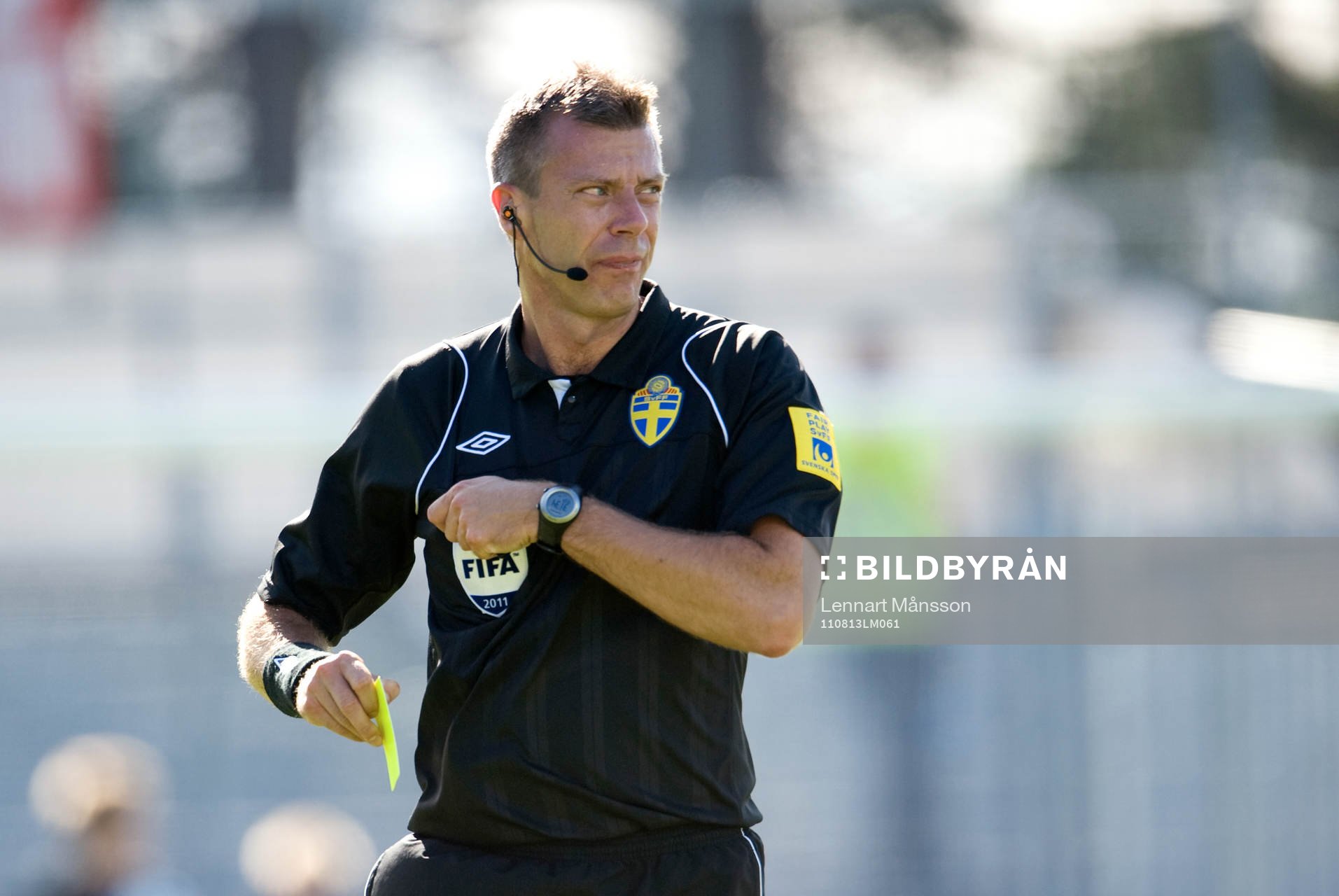 Daniel Stålhammar, domare