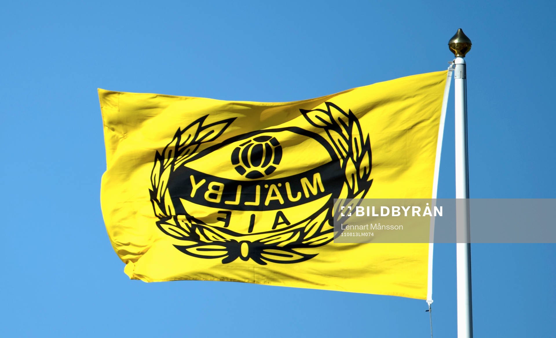 Flagga, fana