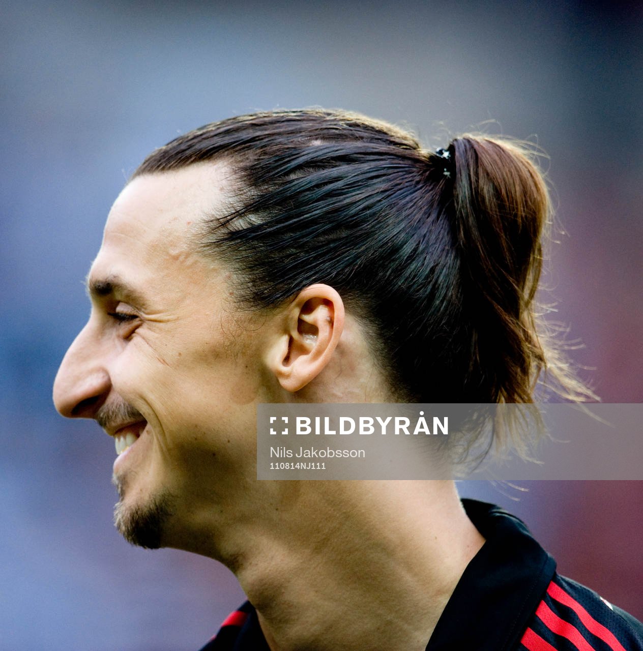 Zlatan Ibrahimovic, AC Milan