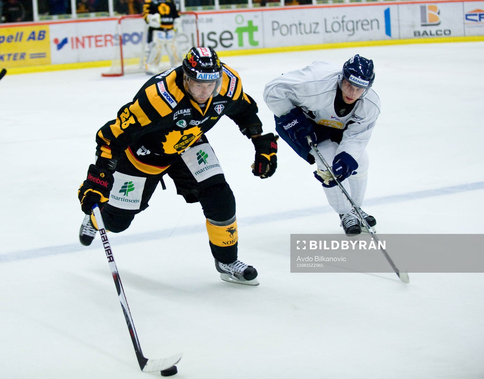 Tomas Skogs, Skellefteå