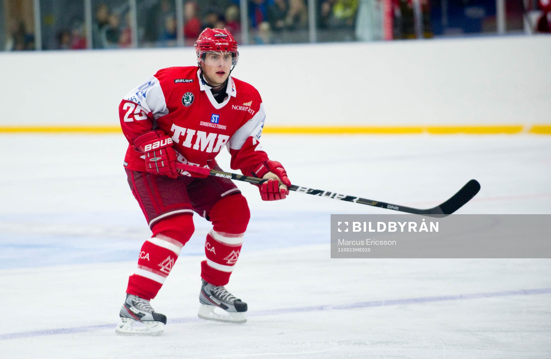 Niklas Torp