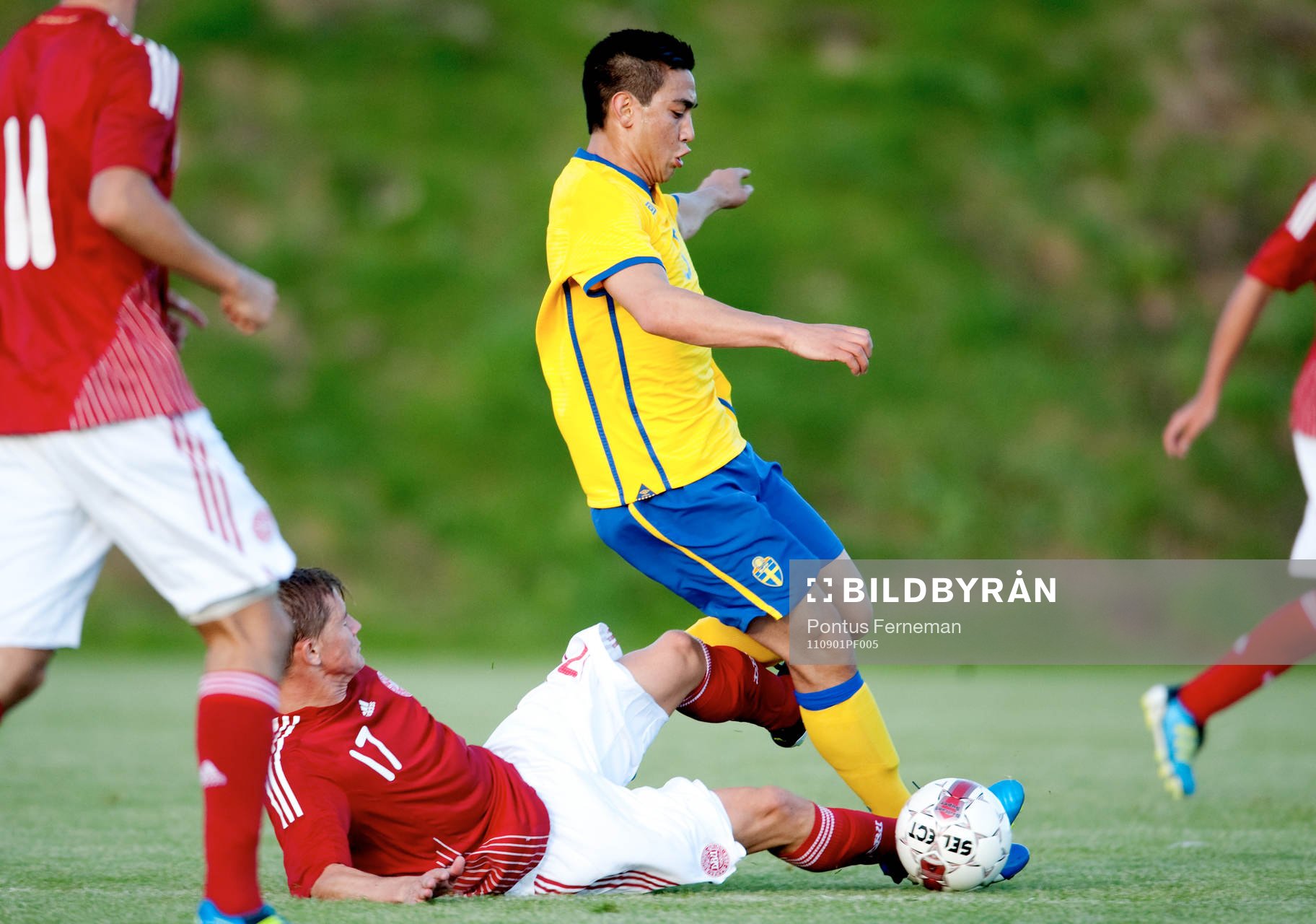 Mads Petersen, Danmark, Amin Nazari, Sverige