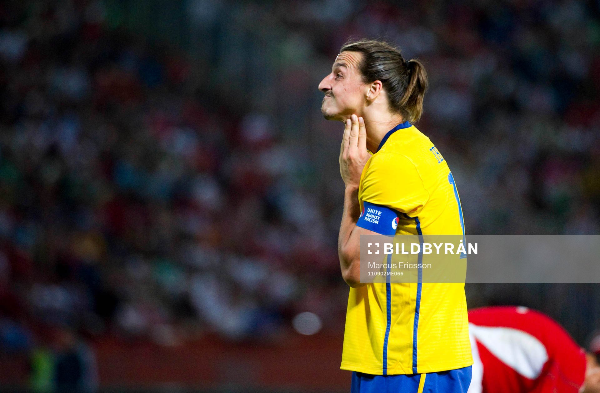 Zlatan Ibrahimovic, Sverige