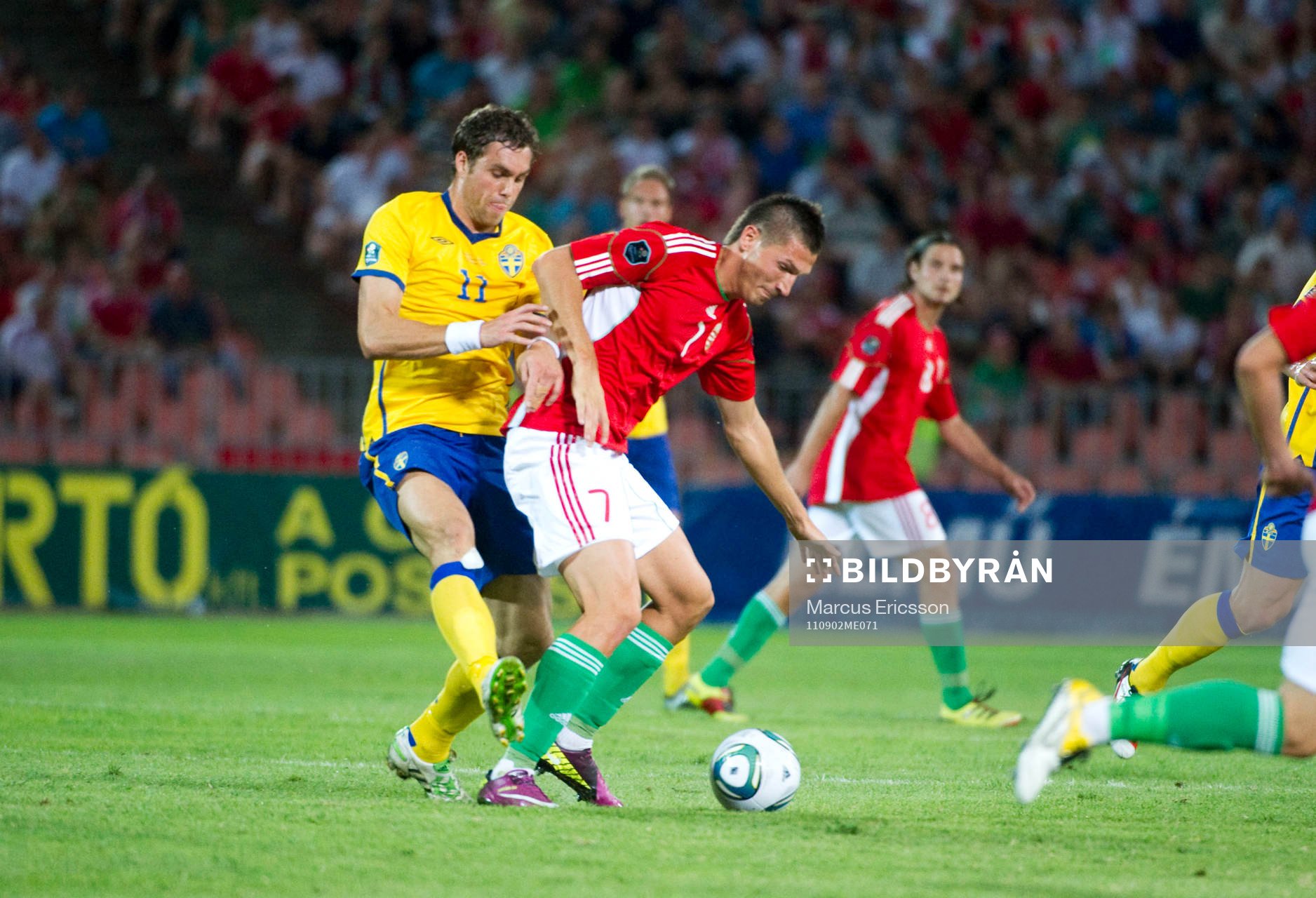 Adam Pinter, Ungern och Johan Elmander, Sverige