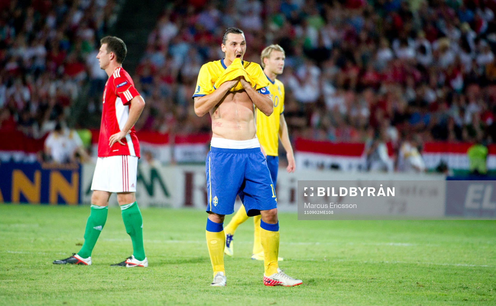 Zlatan Ibrahimovic, Sverige