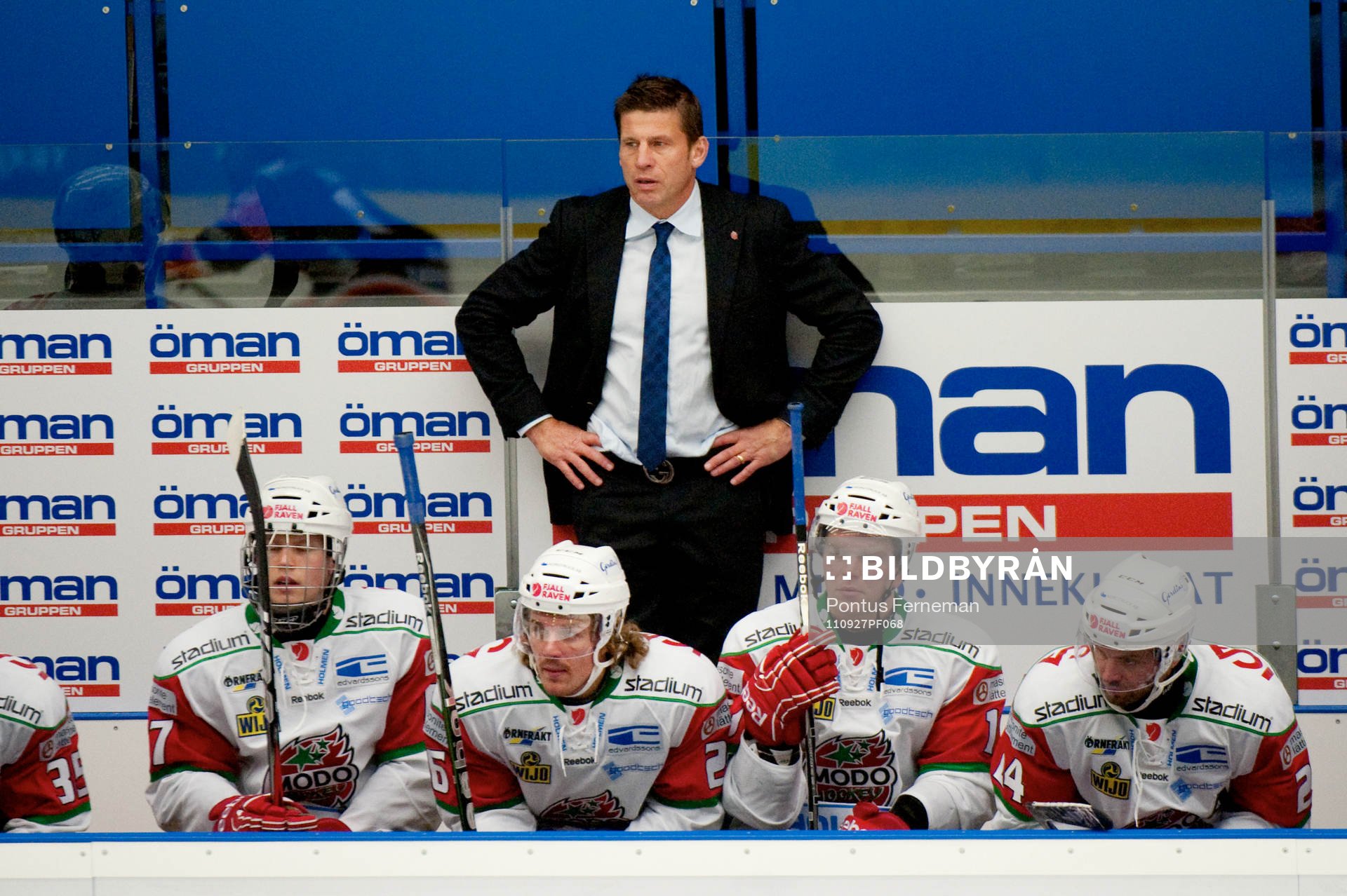 Ulf Samuelsson, tränare, Modo