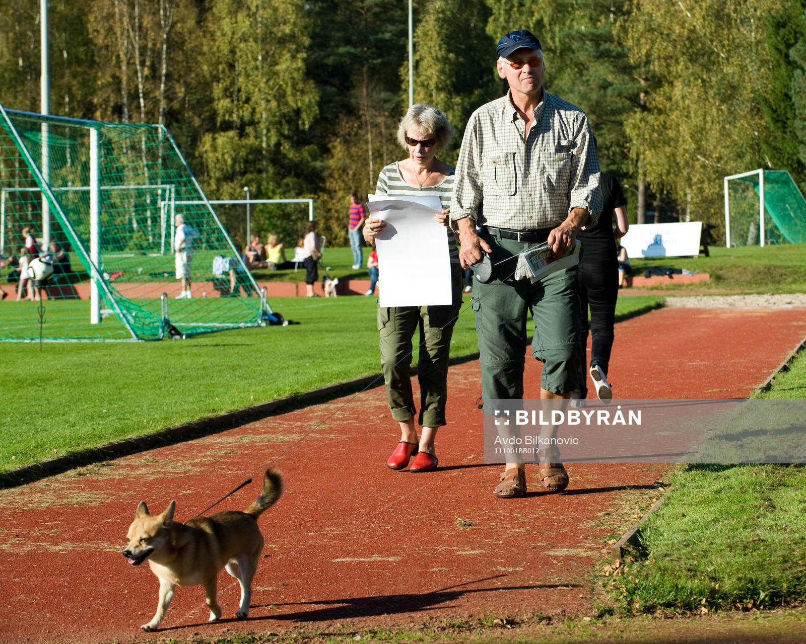 en liten promenad med hunden i pausen