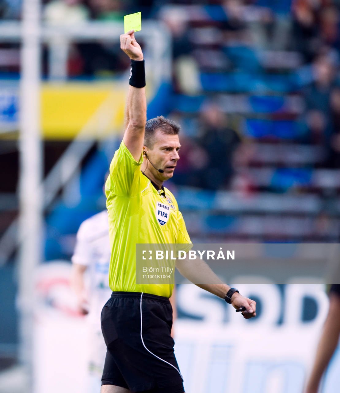 Daniel Stålhammar, domare