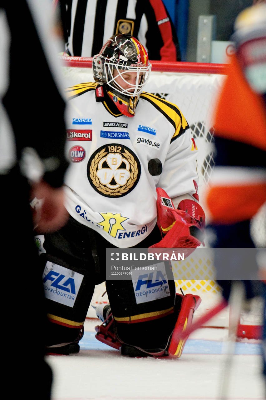 Niklas Svedberg, målvakt, Brynäs