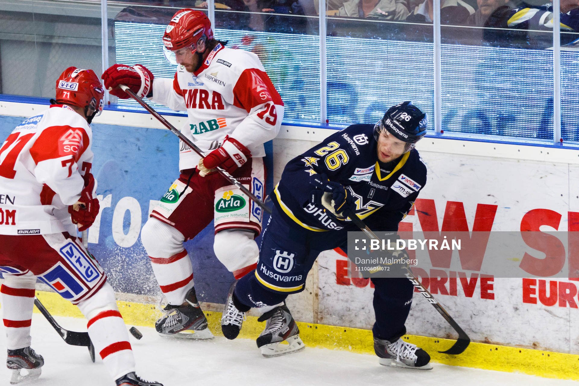 Kamil Piros, HV71 vid sidan av Matt Murley, Timrå
