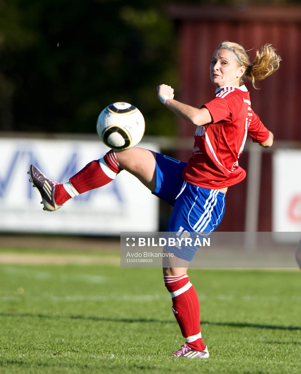 Vlora Bajraktaraj