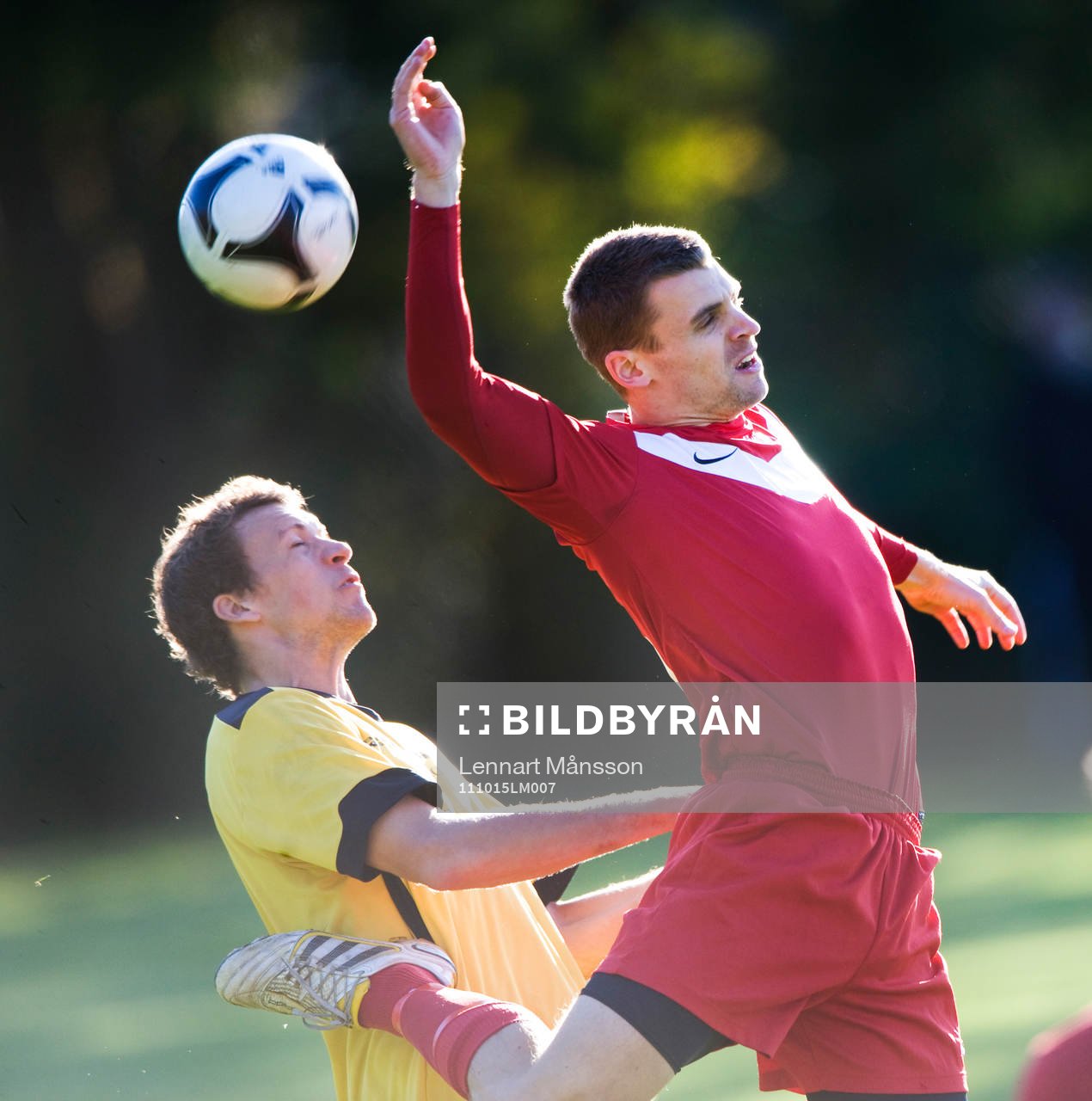 Johan Waldemarsson, Hässleholm