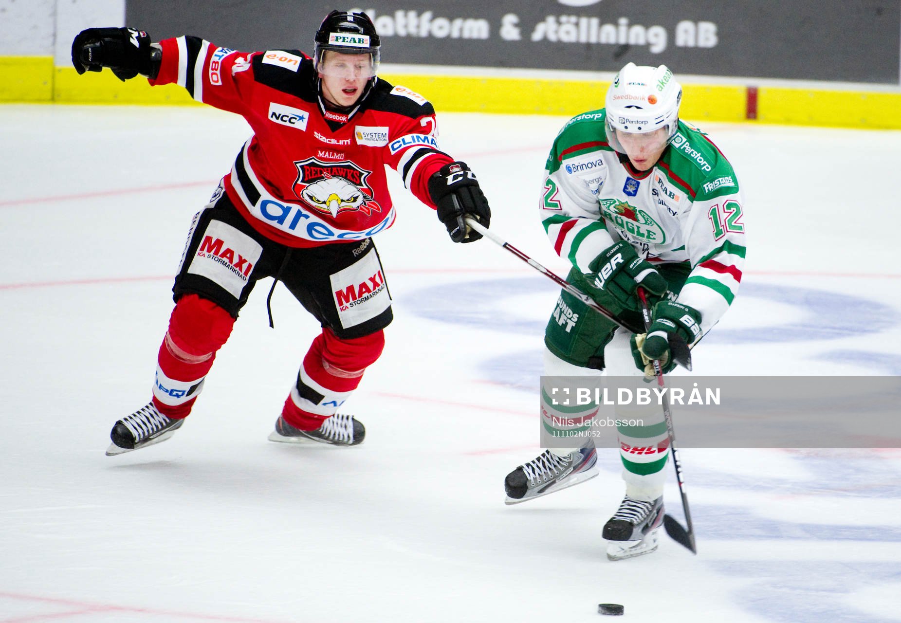 Tim Heed, Malmö, Kirill Starkov, Rögle