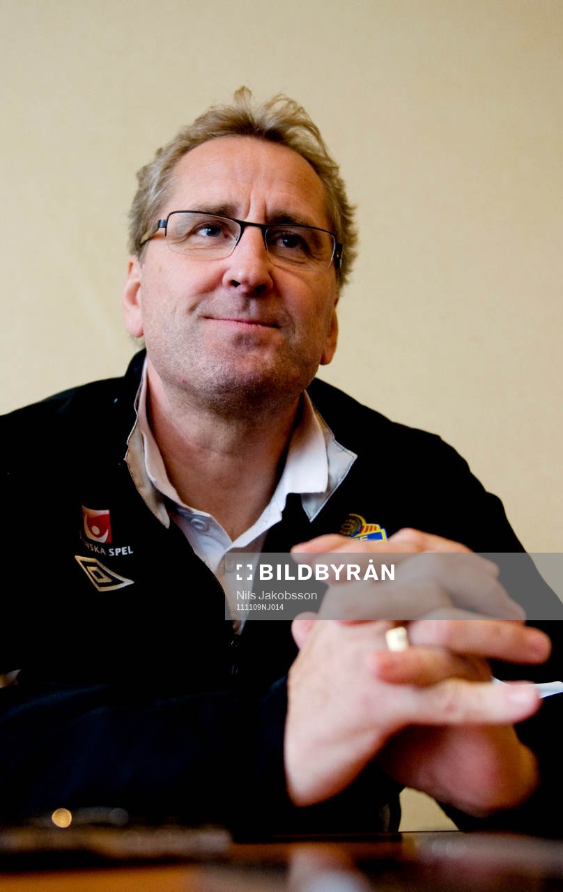 Eric Hamrén, förbundskapten