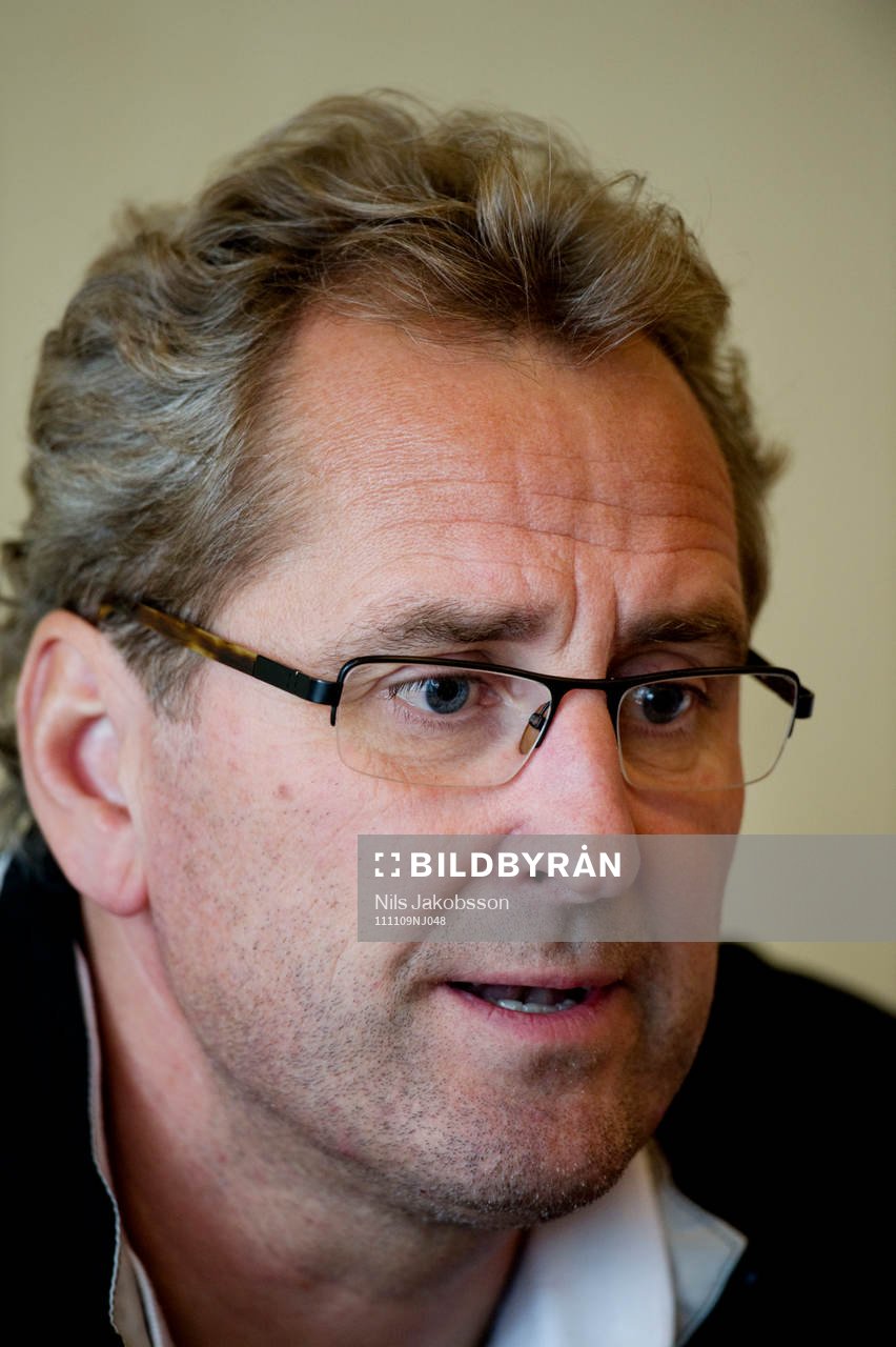 Eric Hamrén, förbundskapten