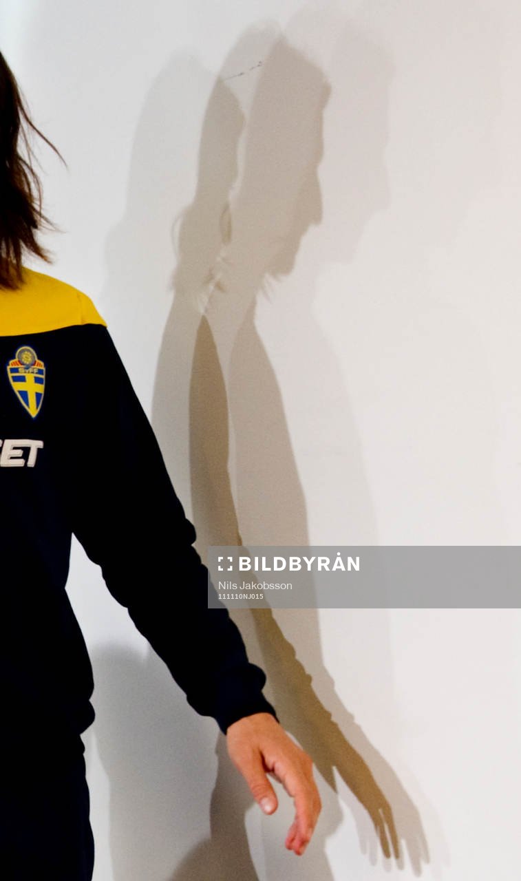 Zlatan Ibrahimovic