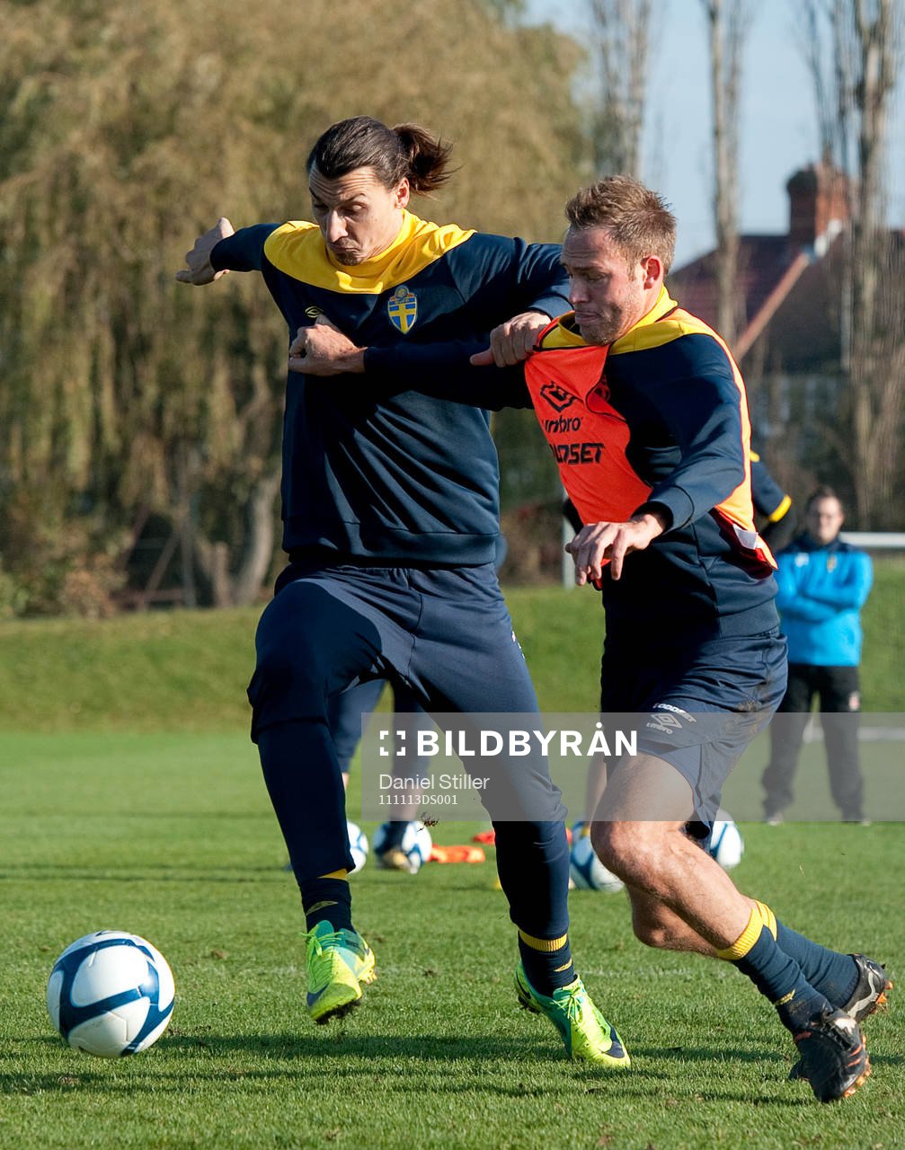 Zlatan Ibrahimovic, Andreas Granqvist
