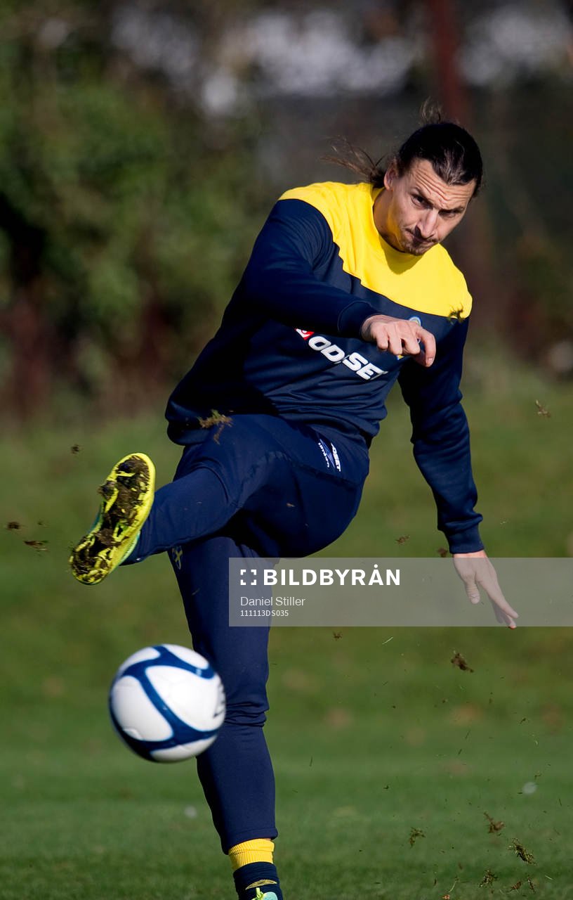 Zlatan Ibrahimovic