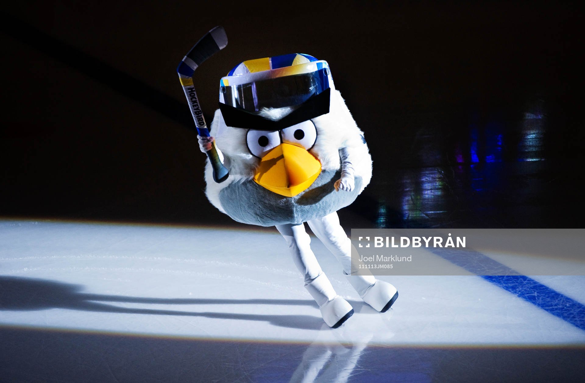 Hockeybird blir maskot