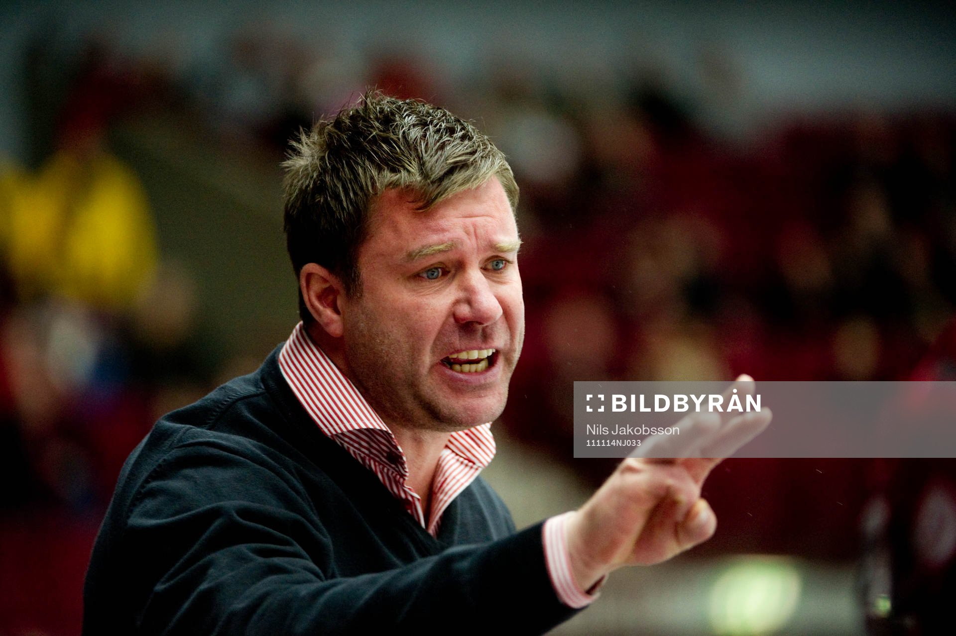 Patrik Ross, tränare