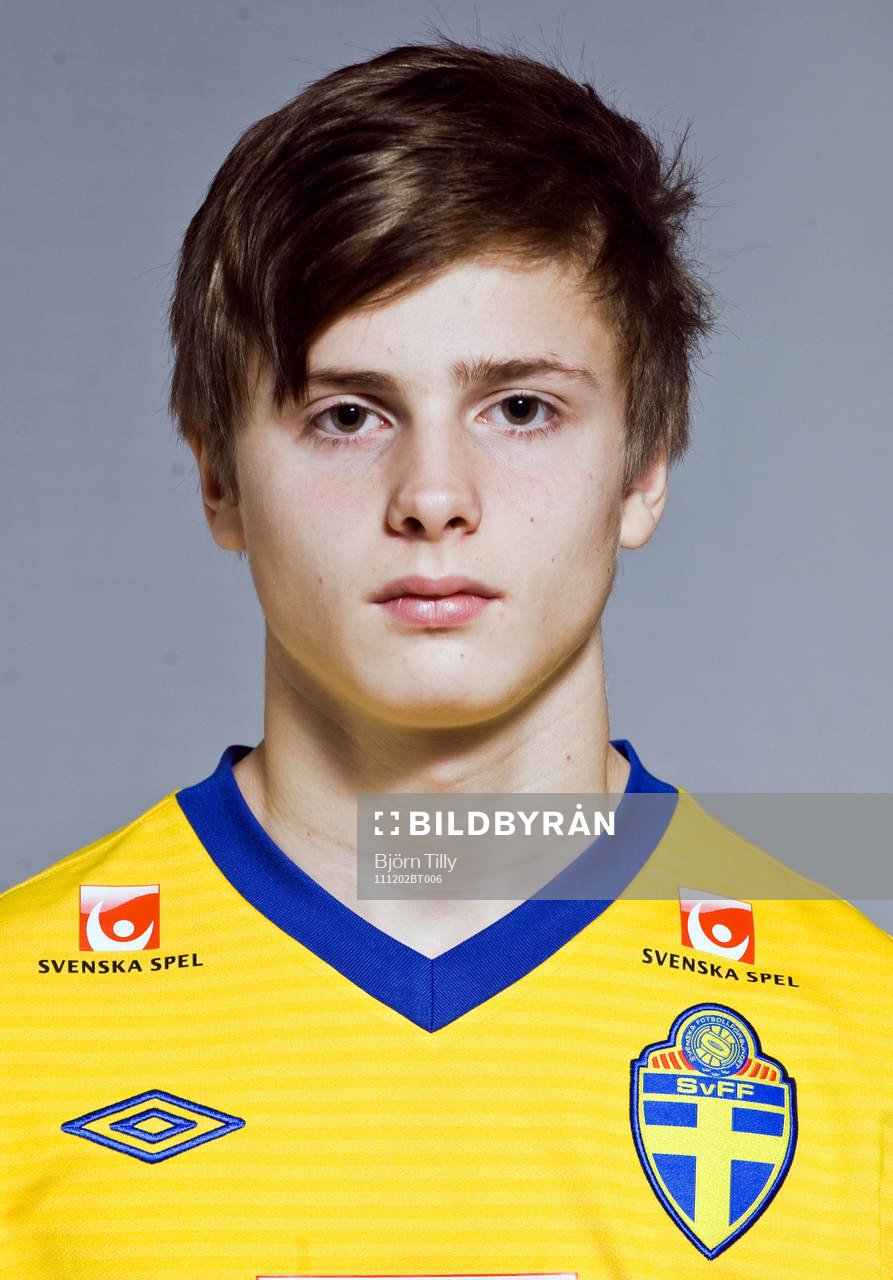 Ludvig Karlsson, Sverige