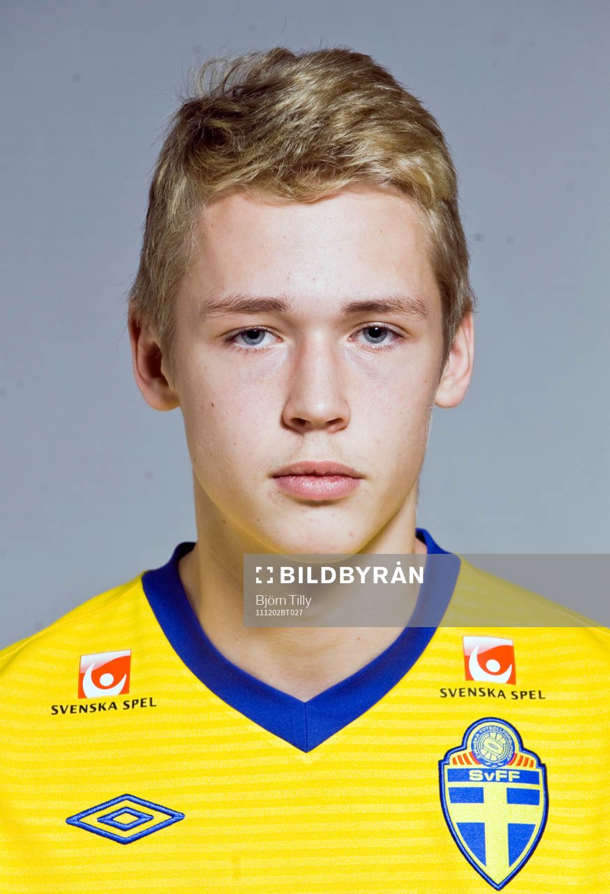 Alexander Gustafson, Sverige