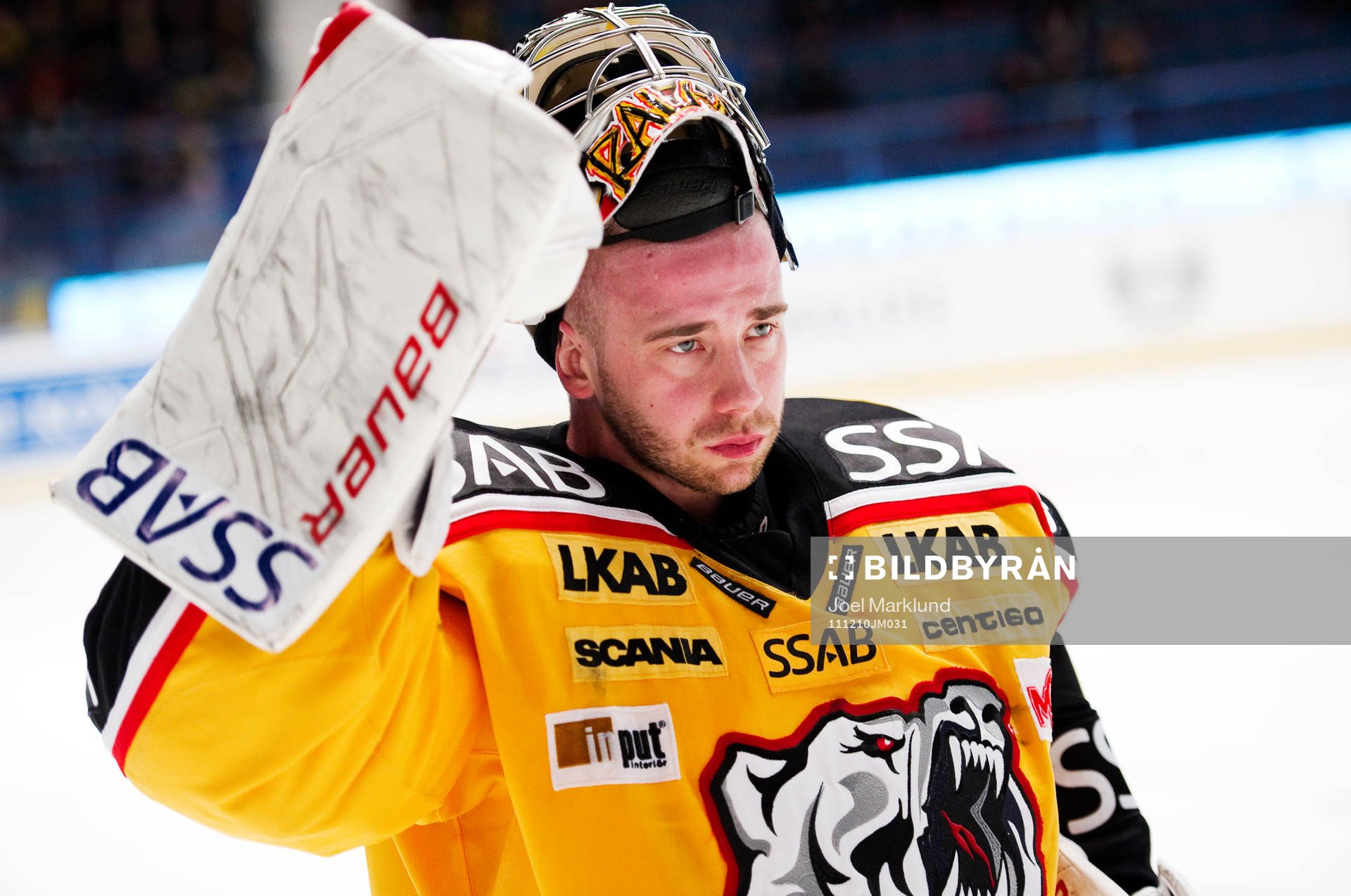 David Rautio, målvakt