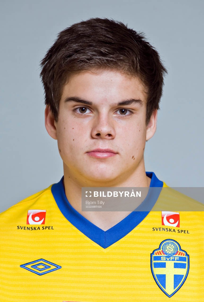 Ludvig Holmertz, Sverige