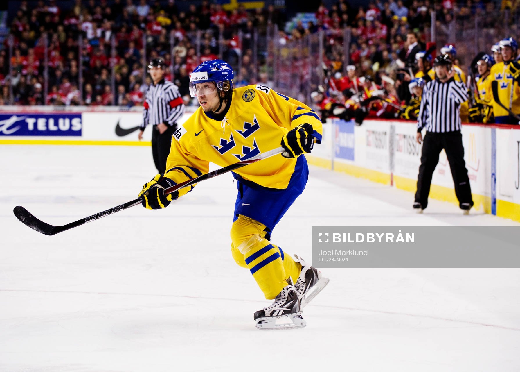 Mika Zibanejad, Sverige