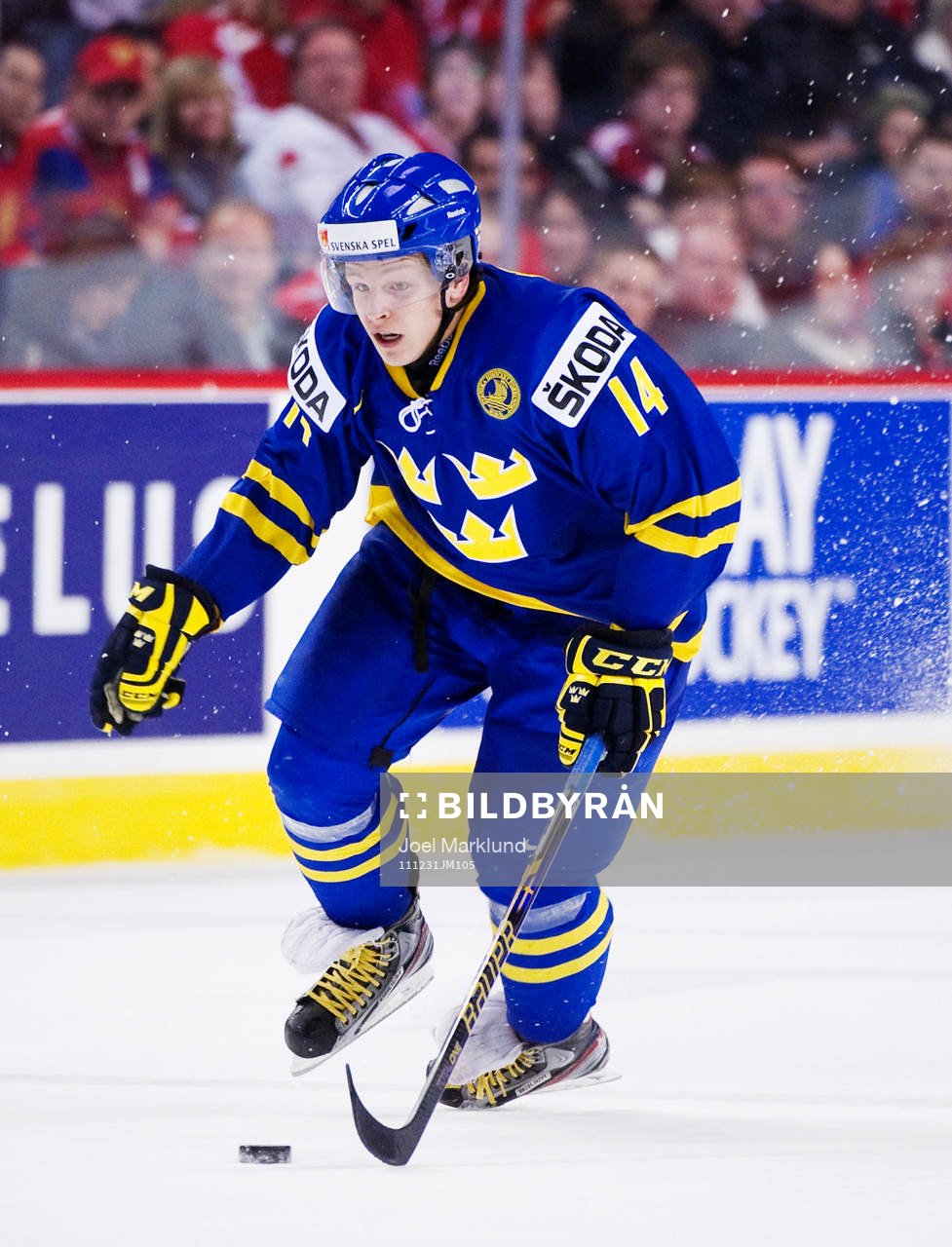 Max Friberg
