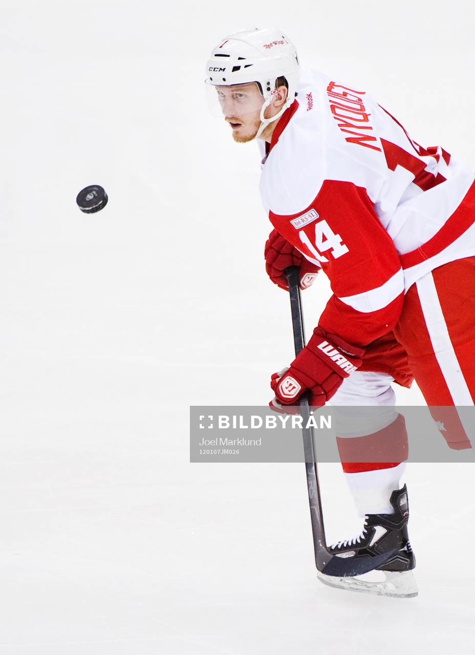 Gustav Nyquist, Detroit