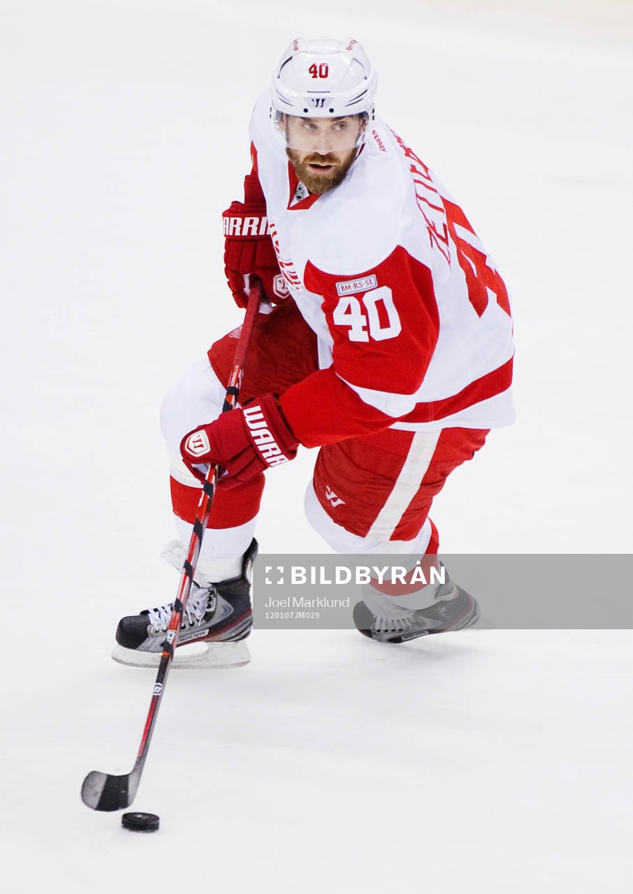 Henrik Zetterberg, Detroit