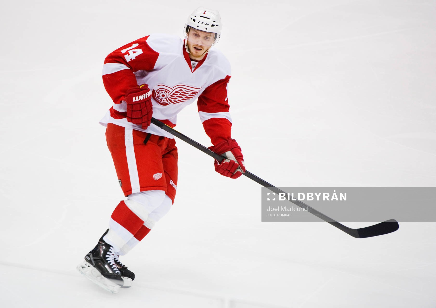 Gustav Nyquist, Detroit